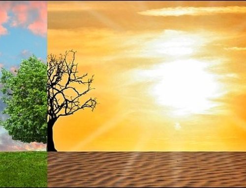 Building Investor Support for a Just and Equitable Energy Transition