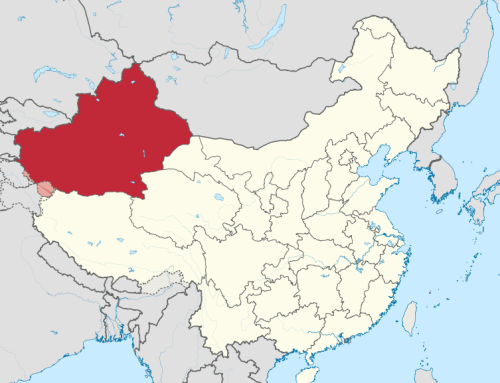 Raise the Alarm for Xinjiang