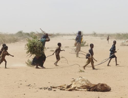 Climate Refugees: Rising Waters and Rising Concern