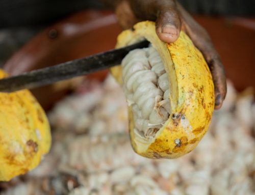 Can Nestlé reduce or eliminate child labor? We hope so.