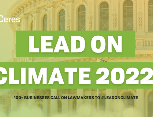 SGI joins Major U.S. Companies and Investors To Urge Congress to LEAD on Climate